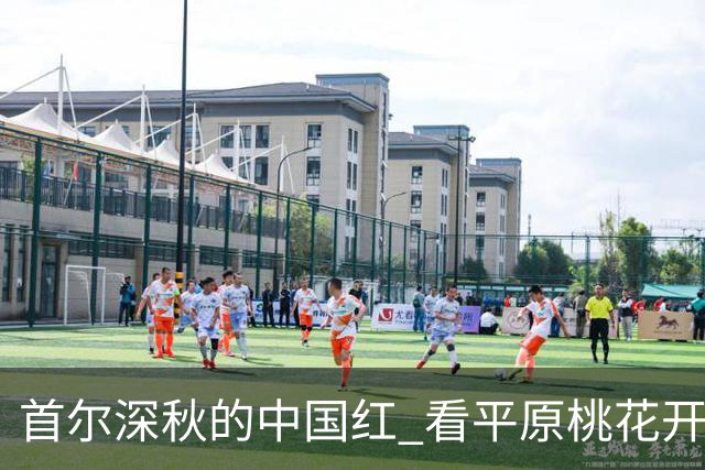首尔深秋的中国红 看平原桃花开李小溪异国铁血鏖战